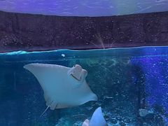 -沈阳海洋探索中心