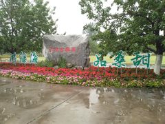 -御林古桑园