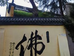 -赭山公园