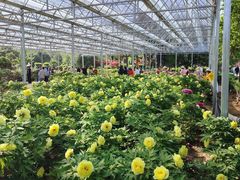 -洛阳市隋唐城遗址植物园