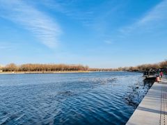 -华盛园卷子王农家菜水库鱼