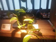 -栖巢咖啡(天鹅湖万达低碳店)