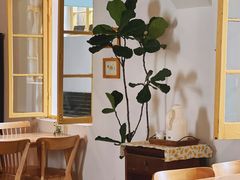 -春风十里咖啡馆