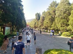 -紫霞湖公园