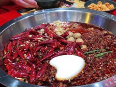 -谭鸭血老火锅(七宝万科广场店)