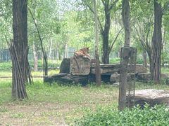 -秦皇岛野生动物园