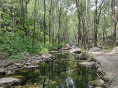 -玉渡山自然风景区