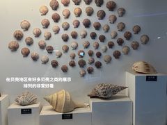 -泉城欧乐堡海洋极地世界