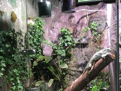 景点-上海大自然野生昆虫馆