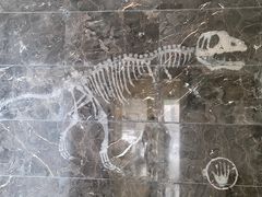-雅仕口腔(后沙峪店)