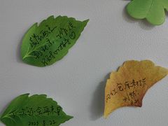 -猫库迷你自助仓储寄存仓库(丽泽桥店)