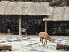 -金沙遗址博物馆