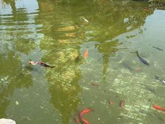 -吴作人艺术馆