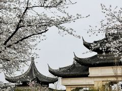 -苏州上方山国家森林公园