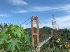 -篁岭景区