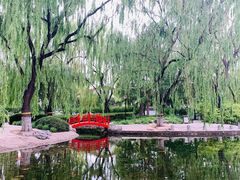 -玲珑塔公园