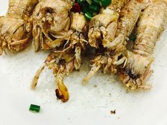 -骆驼阿三饭店(迪赛邻里店)