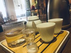 -柴务处·柴犬主题狗咖