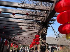 -白马涧龙池景区