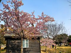 -无锡梅园公园