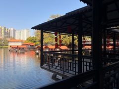 -侨美·唐荔园·40年地道粤菜