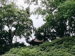 -柳侯公园