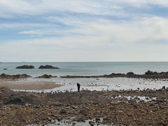 -海合安青岛极地海洋公园