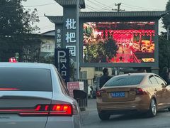 -枇杷园食为鲜火锅(南山店)