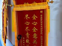 -派美特宠物医院·核磁CT·骨科肿瘤·疑难转诊(沈农禾丰店)