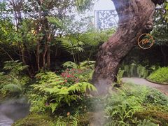 -Chom Cafe and Restaurant