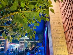 -同仁四季椰子鸡(海岸城天利店)