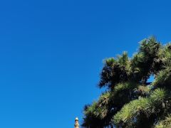 -满堂·烤鸭店·北京菜(鼓楼店)