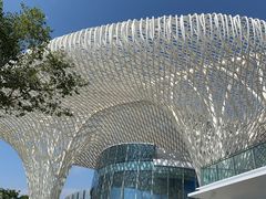 -宝安西湾红树林湿地公园