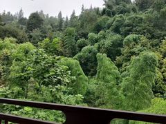 -雅安上里古镇