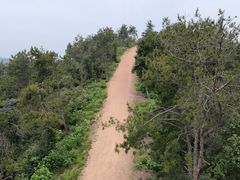 -青龙山国家森林公园