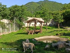 -西安秦岭野生动物园