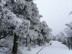 -南岳衡山风景名胜区