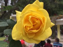 -人民公园(罗湖区)