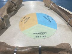 -吉林省自然博物馆