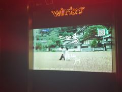 -温莎KTV(国贸店)