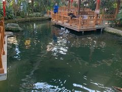 -南宫五洲植物乐园