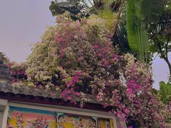 -深圳国际园林花卉博览园