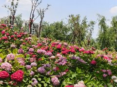 -成都中医药大学(温江校区)