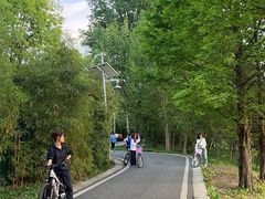 -贵阳市花溪国家城市湿地公园