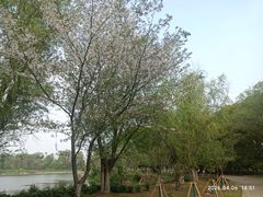 -梁鸿国家湿地公园