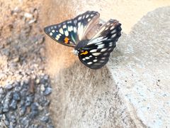 -沈阳辉山风景区