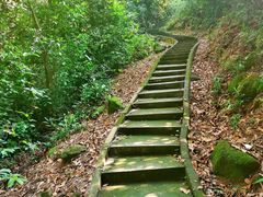 -火炉山森林公园