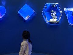 -台州海洋世界
