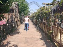 -呀路古热带植物园