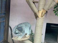 -青藏高原野生动物园
